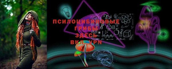 хмурый Абинск