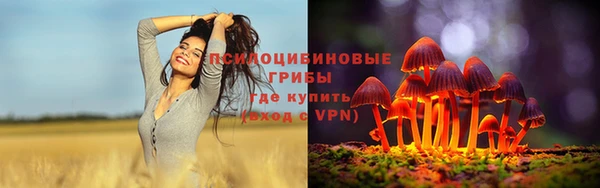 spice Абаза
