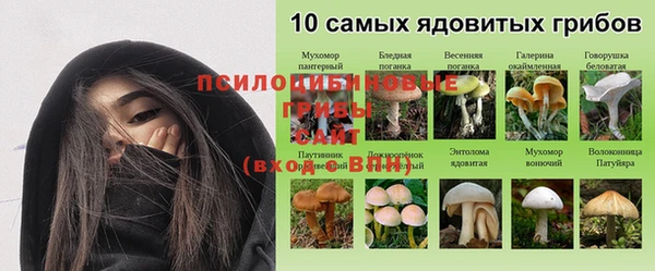 spice Абаза