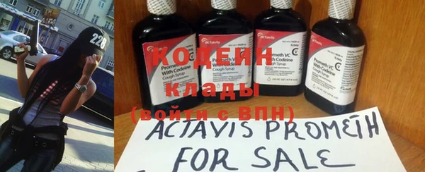 хмурый Абинск