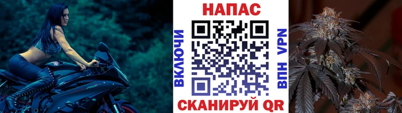 МАРИХУАНА ГИДРОПОН  Владимир 
